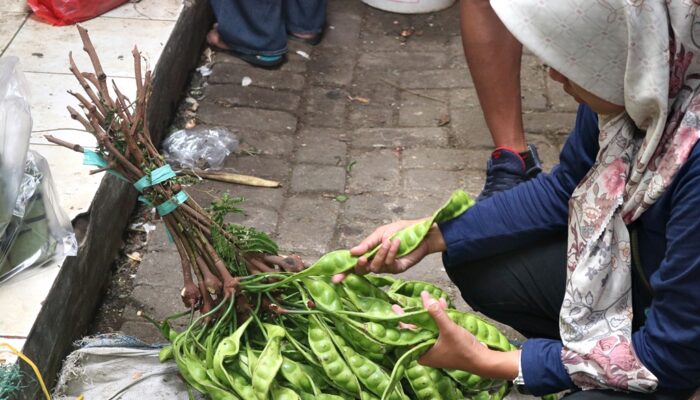 Para Suami Wajib Catat Nih! Coba Minum Air Rebusan Kulit Petai di Malam Hari, Jangan Kaget Kalau Besok Istri Nagih Lagi